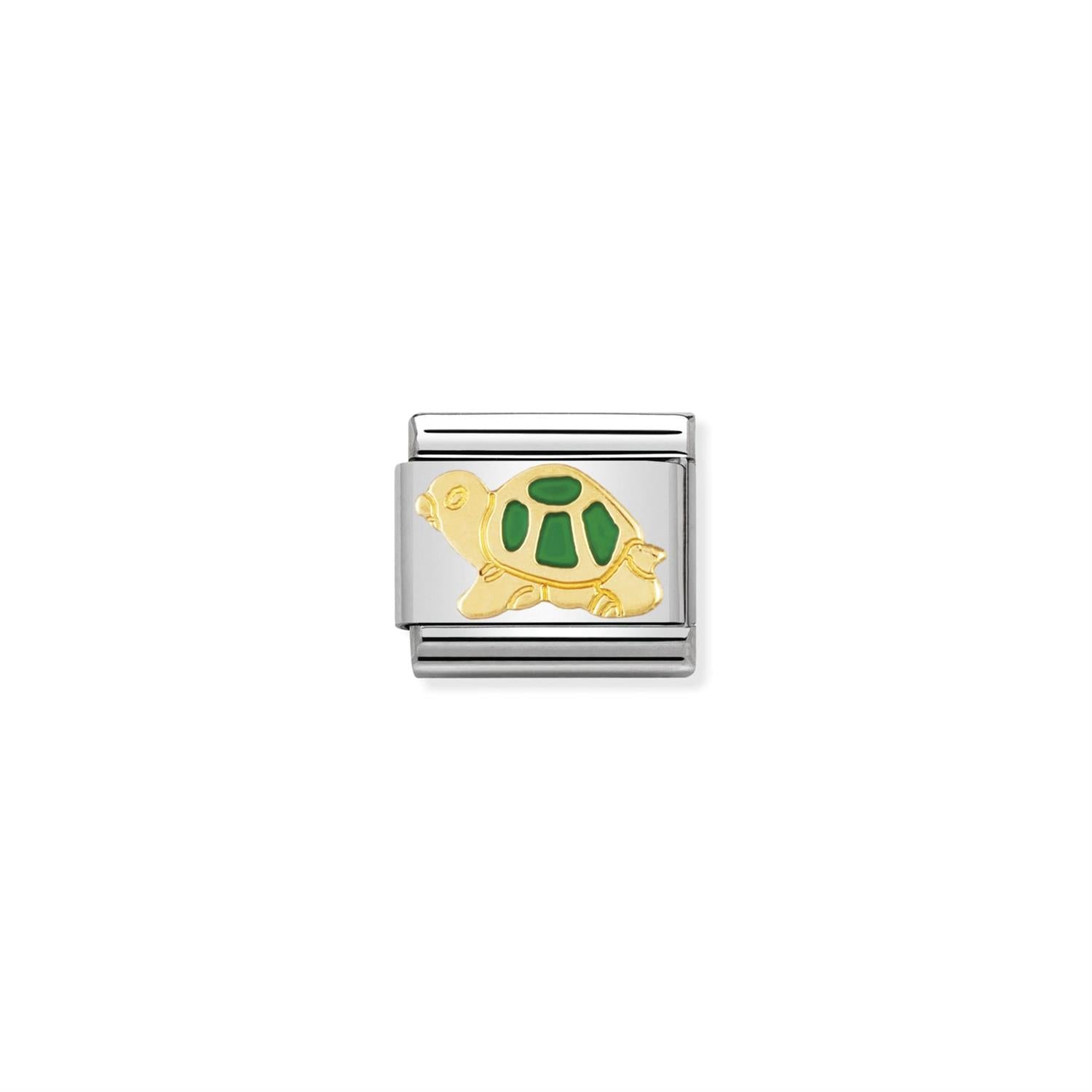 Green Turtle