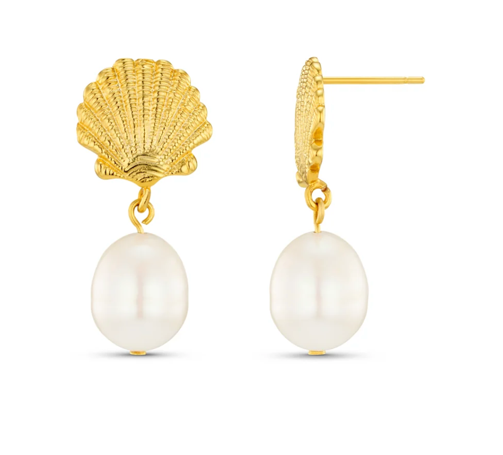 Shell Earrign Gold