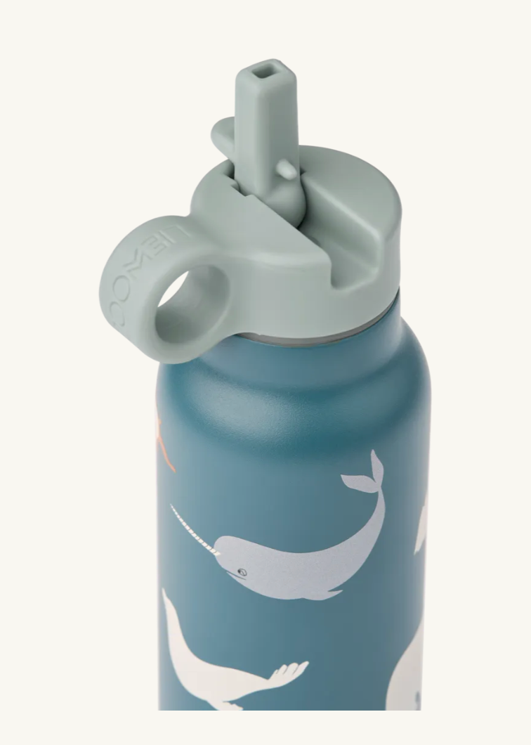 Falk Water Bottle Arctic Sea / Ocean view