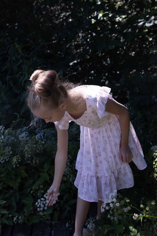 Linda Dress Rose