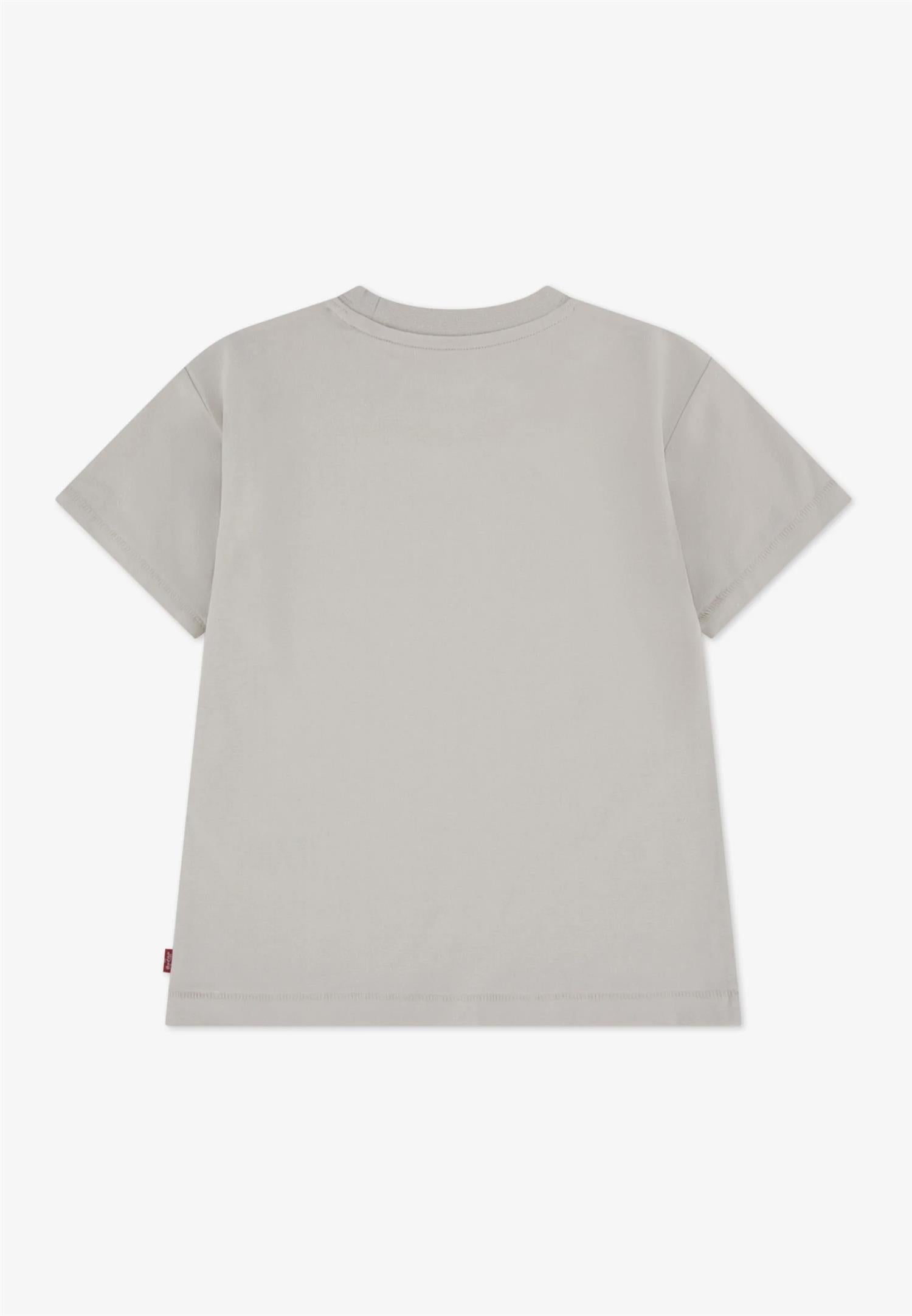 LVB Red Tab Vintage Tee Pumice Stone