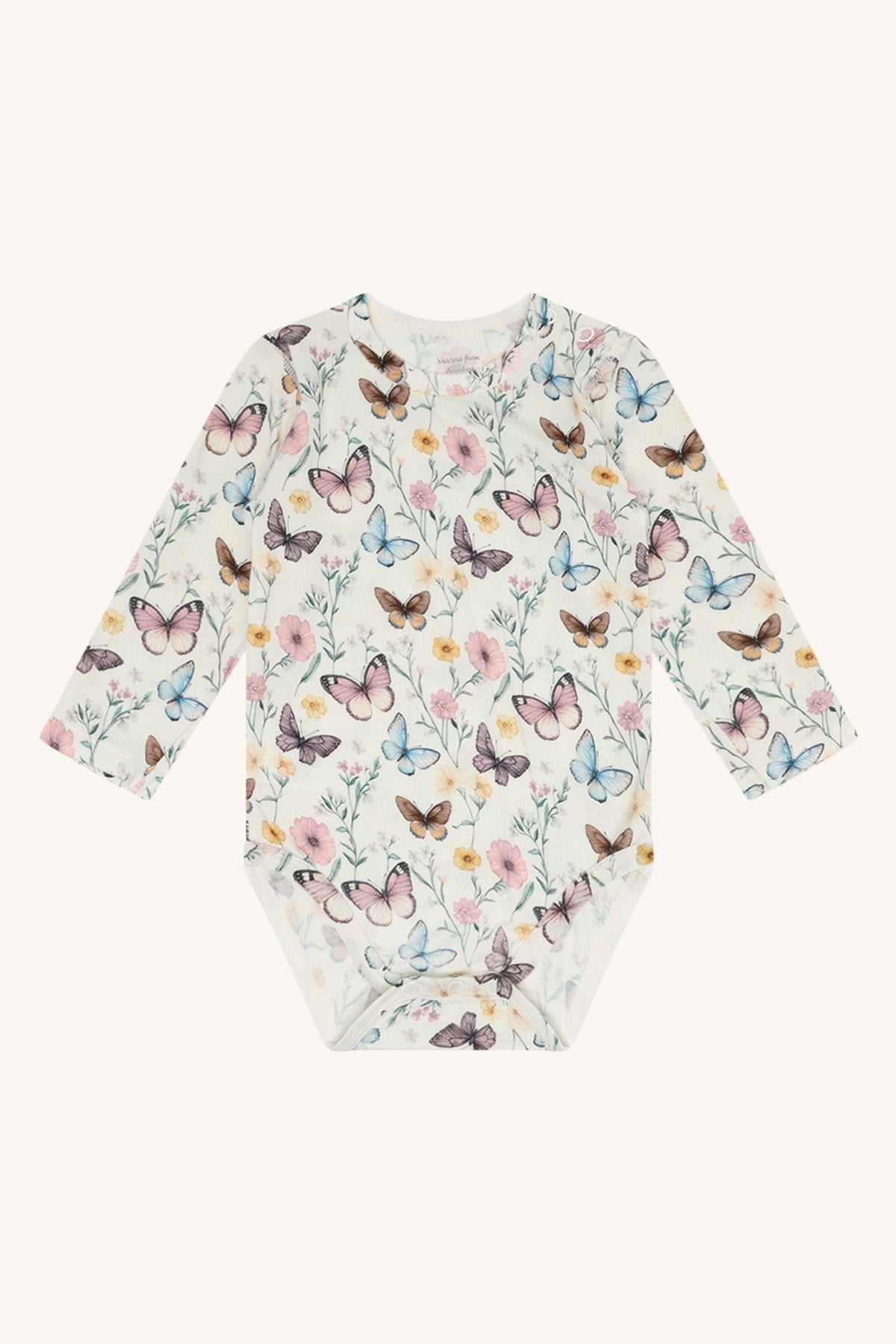 Buller Butterfly Ivory