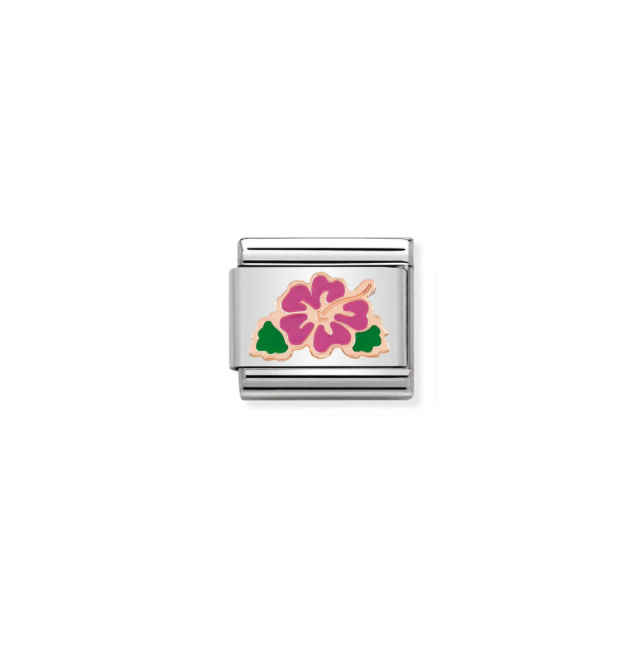 Hibiscus Flower Rosegull