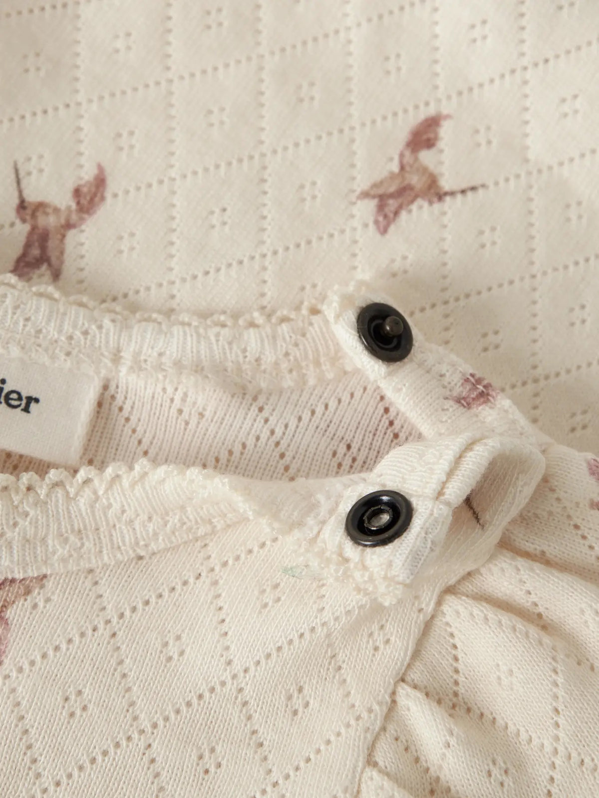 Frachello Tyl Ls Slim Body Turtledove Bird