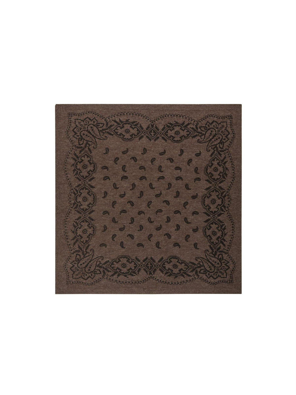 Adelina Paisley Knit Scarf Brown Melange