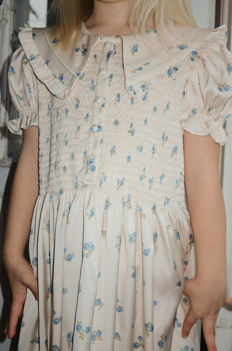 Celebration Sheeny Smock Dress Rosa Bleu