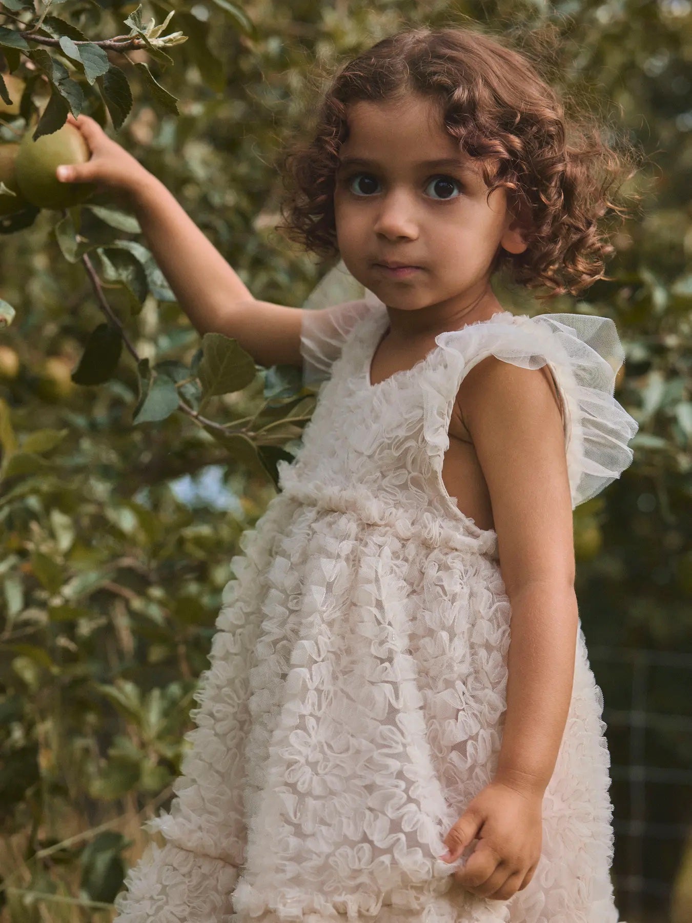 Fauna Capsl Tulle Dress Pumice Stone