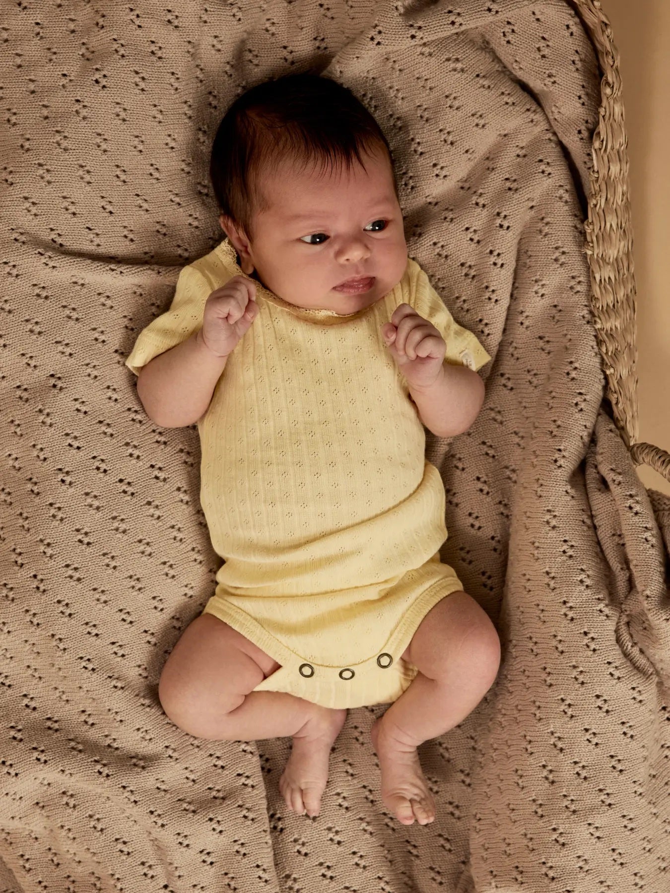 Haldis Ss Slim Body Sunlight
