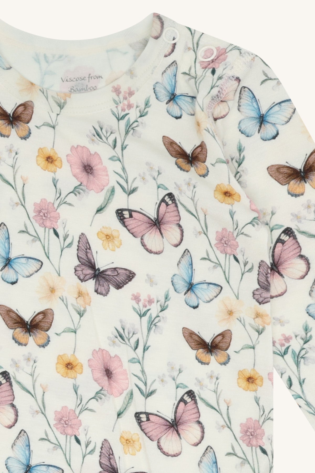 Buller Butterfly Ivory