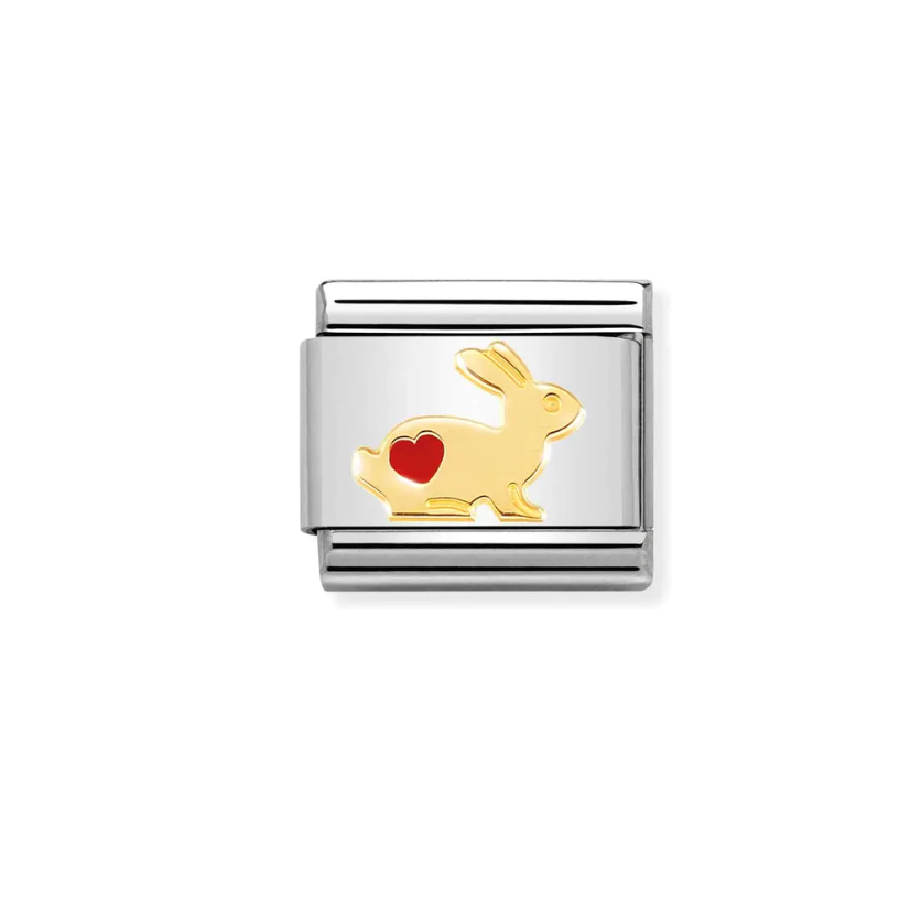 Rabbit With Heart