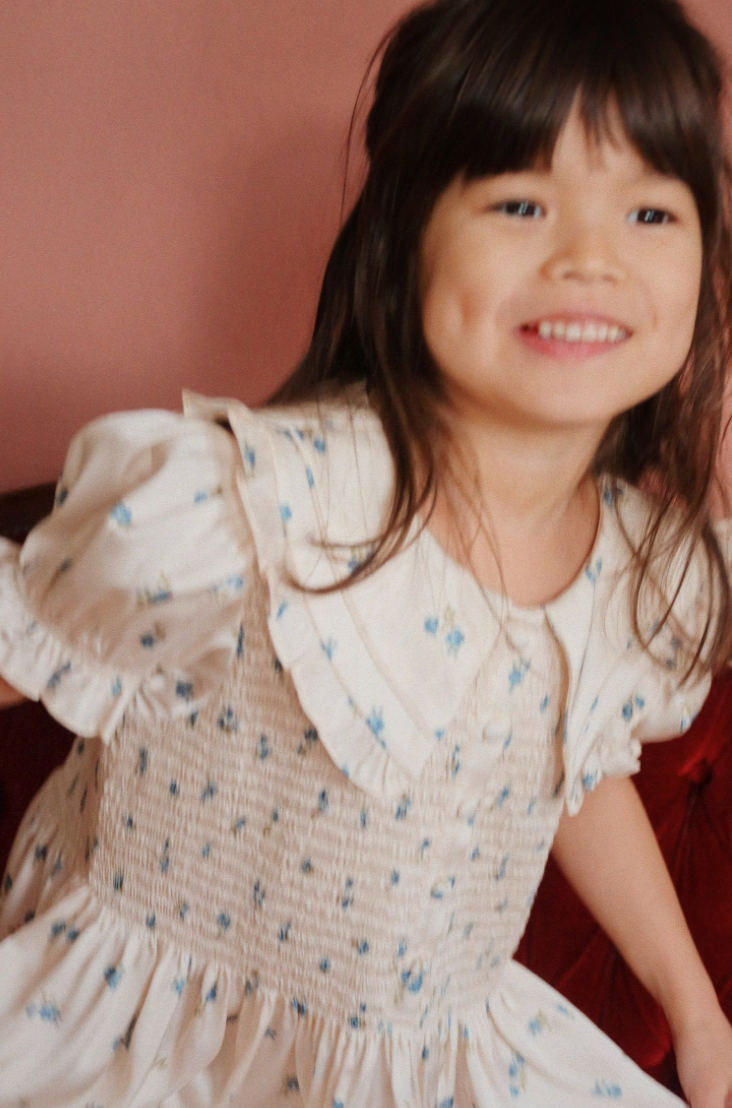 Celebration Sheeny Smock Dress Rosa Bleu