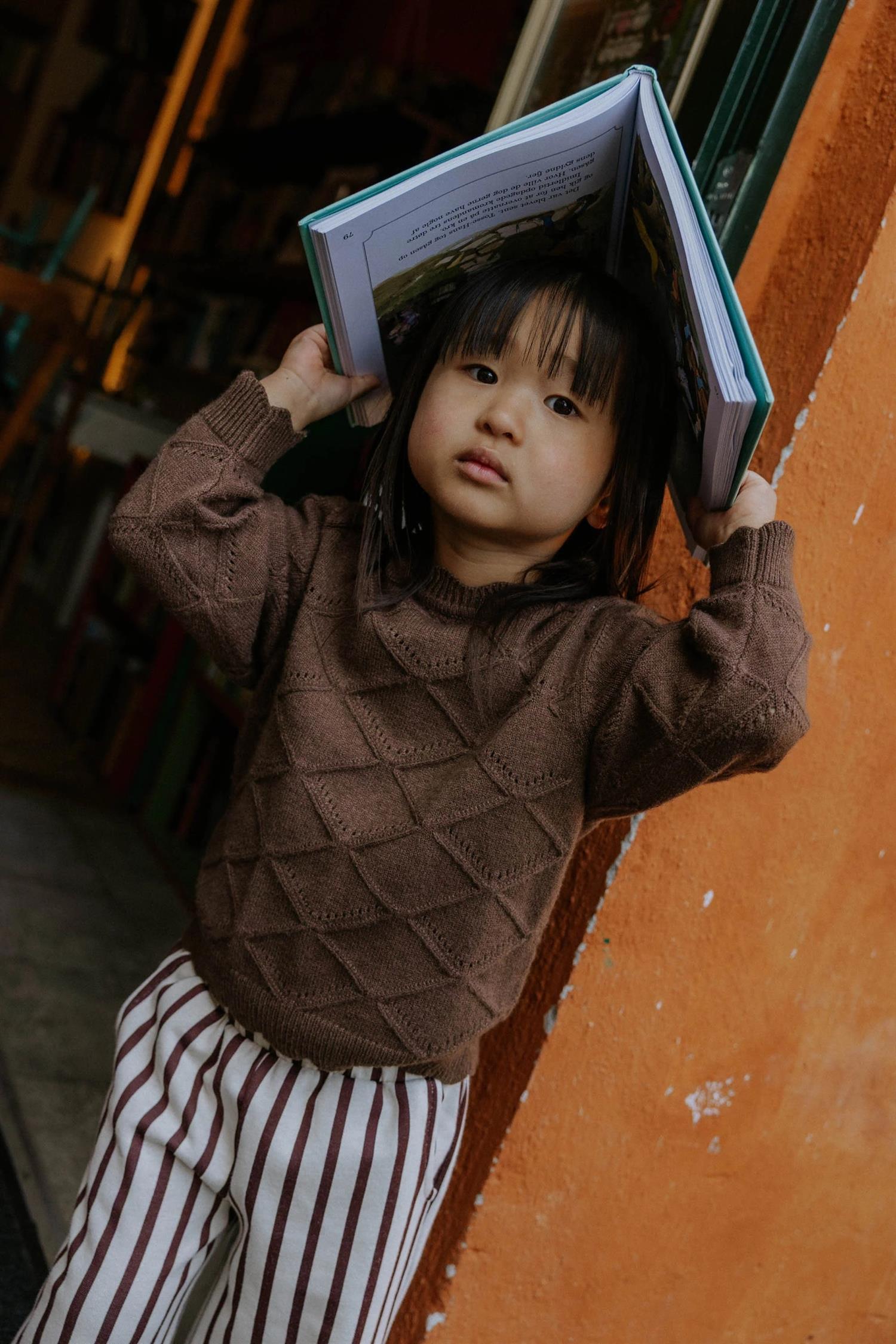 Emily Knit Pullover Coffee Bean