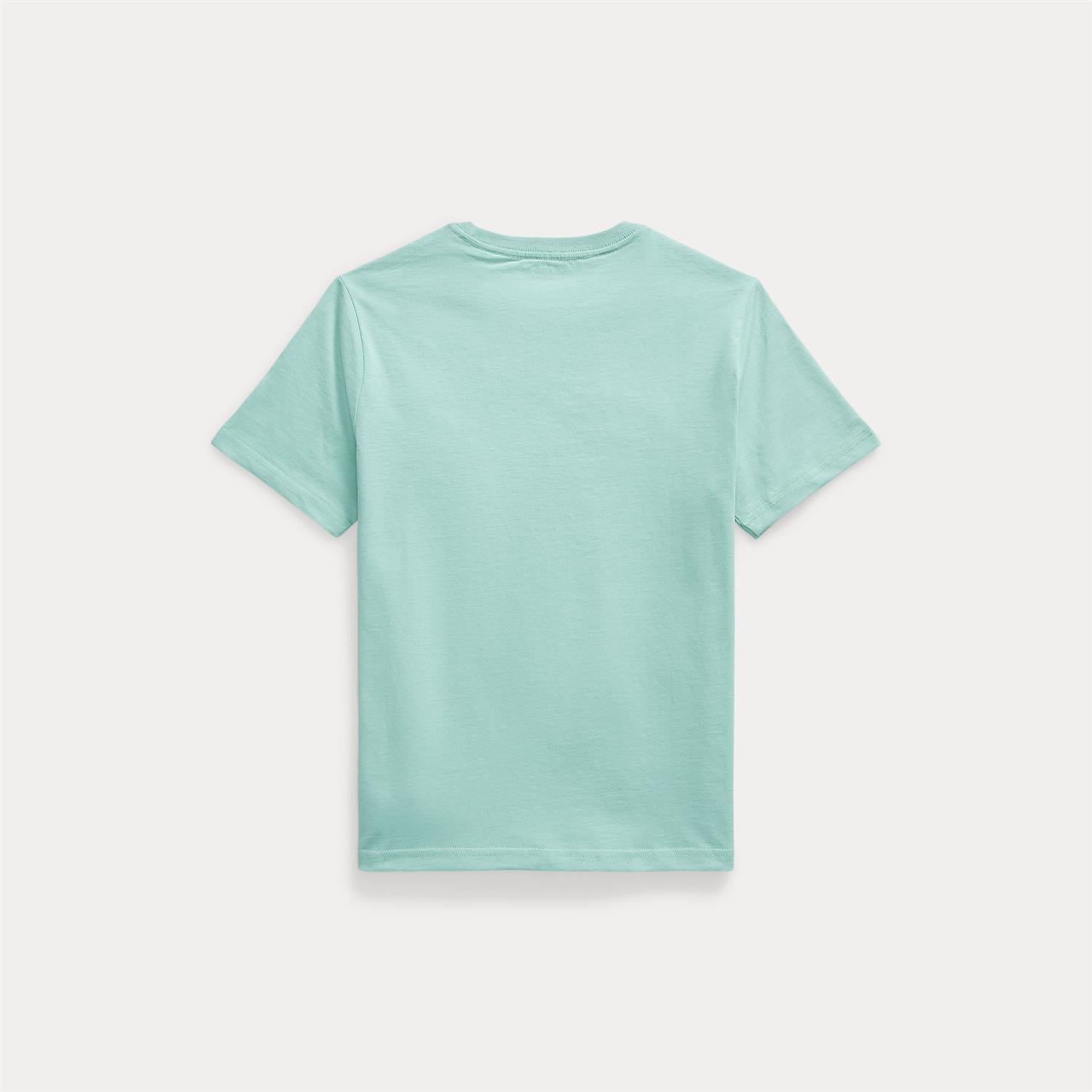 Cotton T-shirt Jersey Celadon