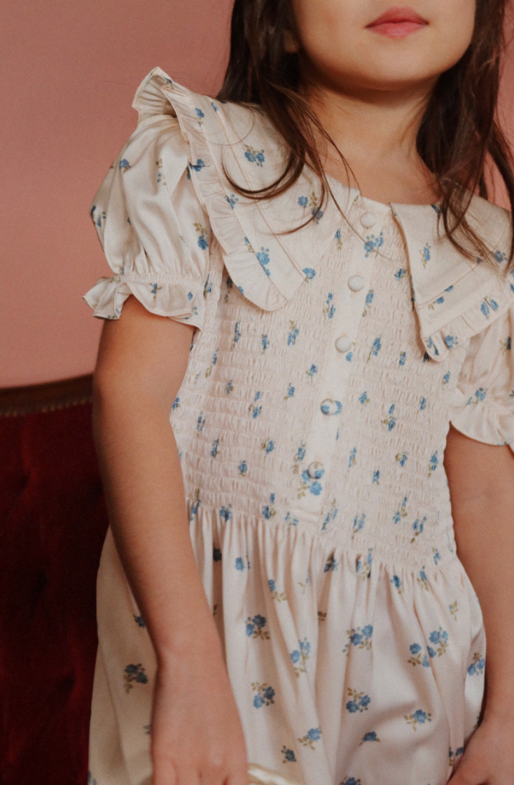 Celebration Sheeny Smock Dress Rosa Bleu