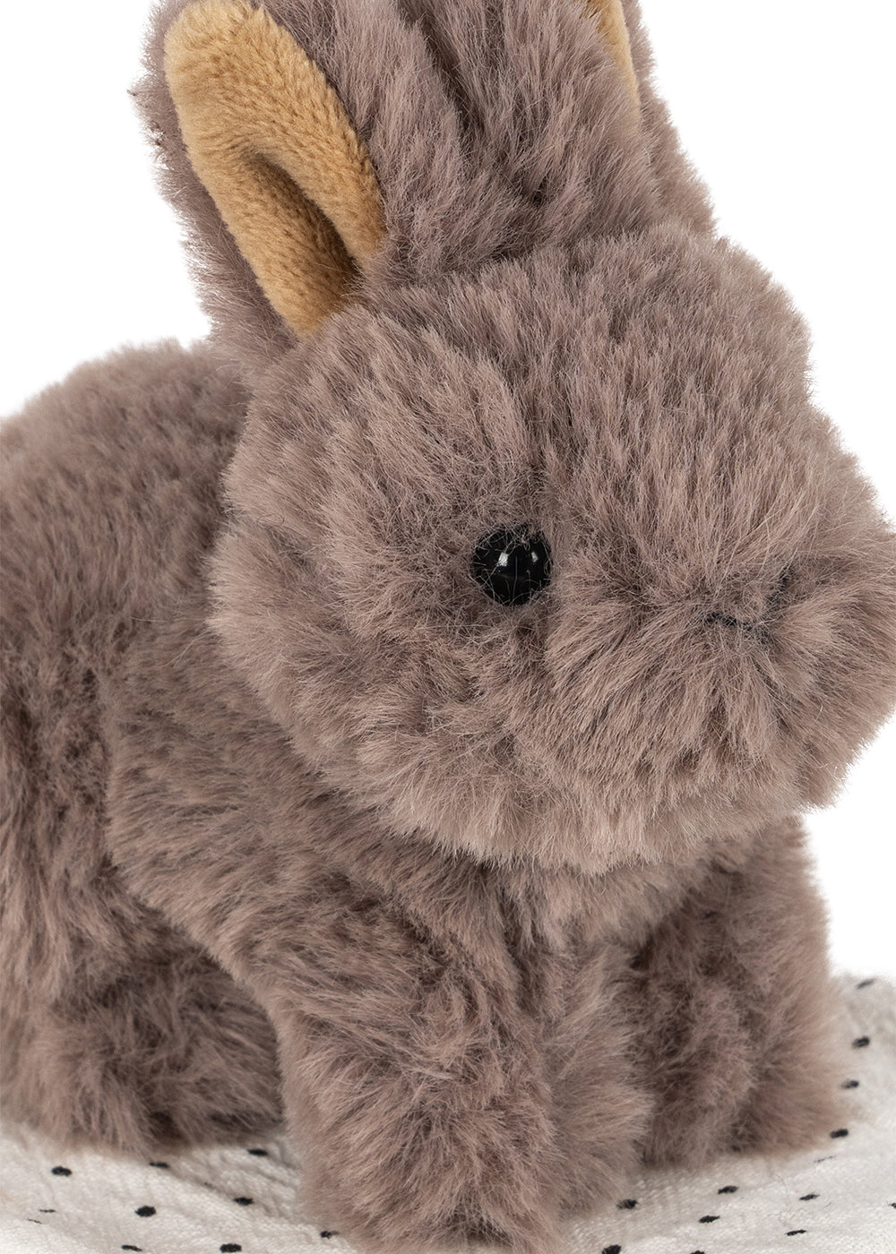 Take Care Of Me - Animals Bunny