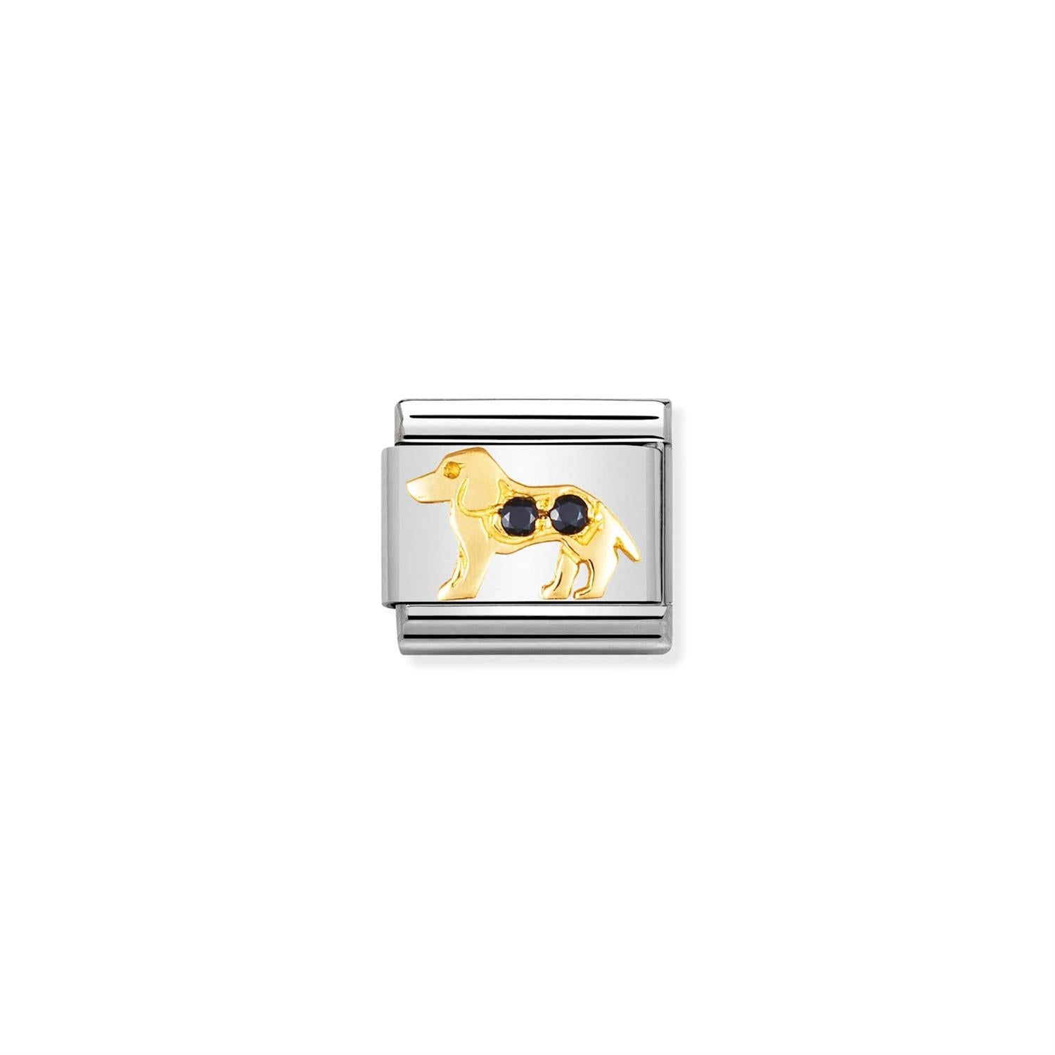 Black Dog Zirconia