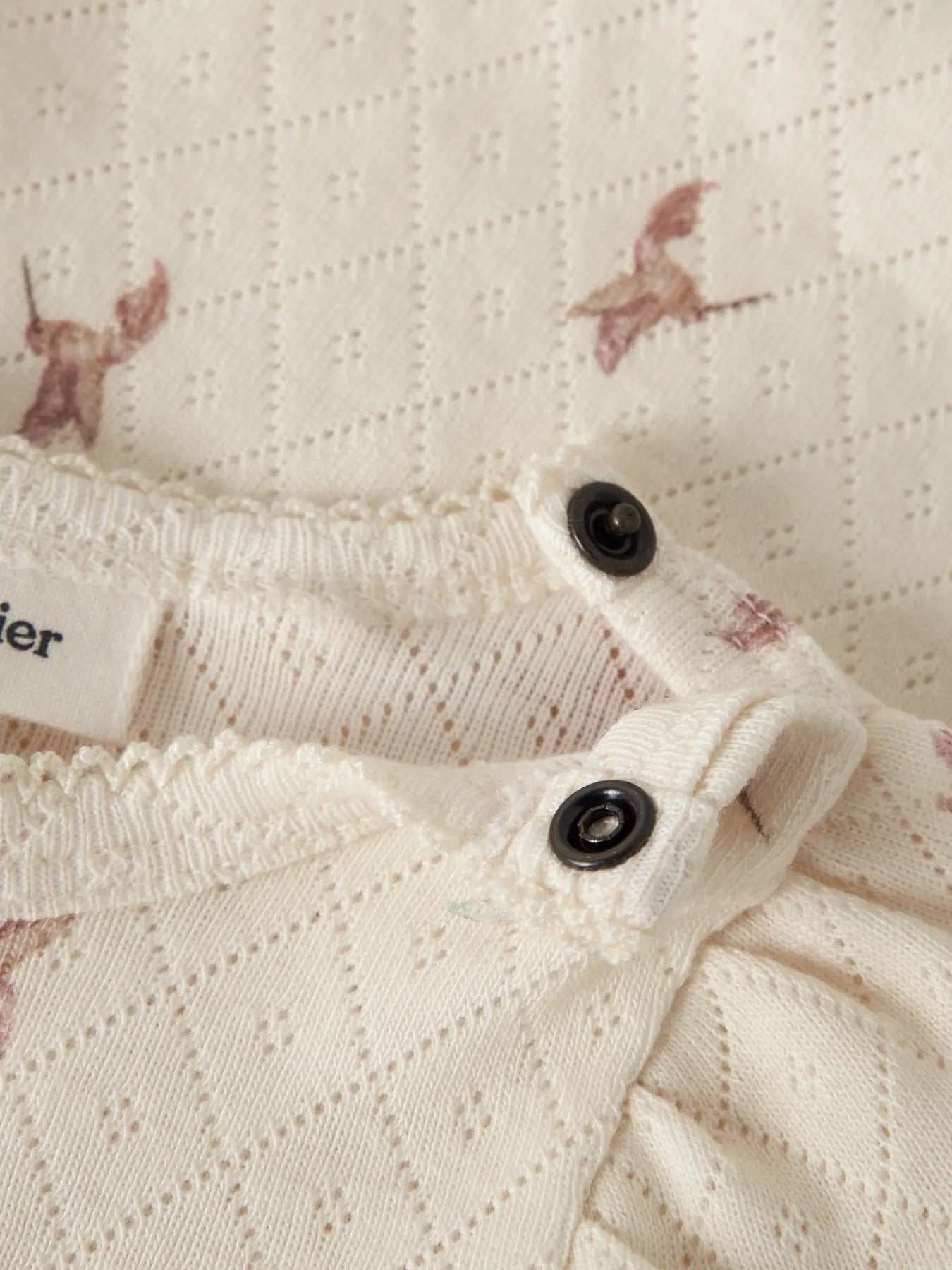 Frachello Tyl Ls Slim Body Turtledove Bird