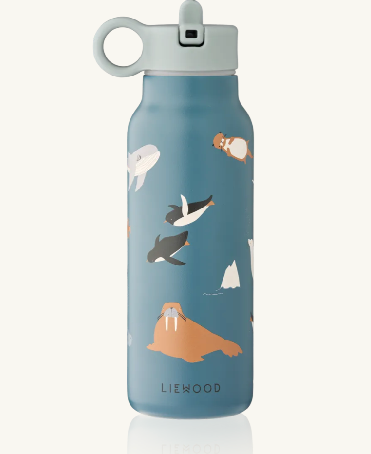 Falk Water Bottle Arctic Sea / Ocean view