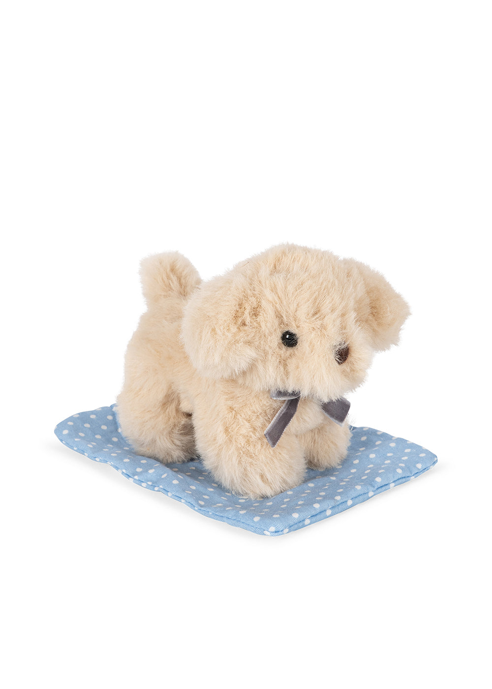 Take Care Of Me - Animals Dog