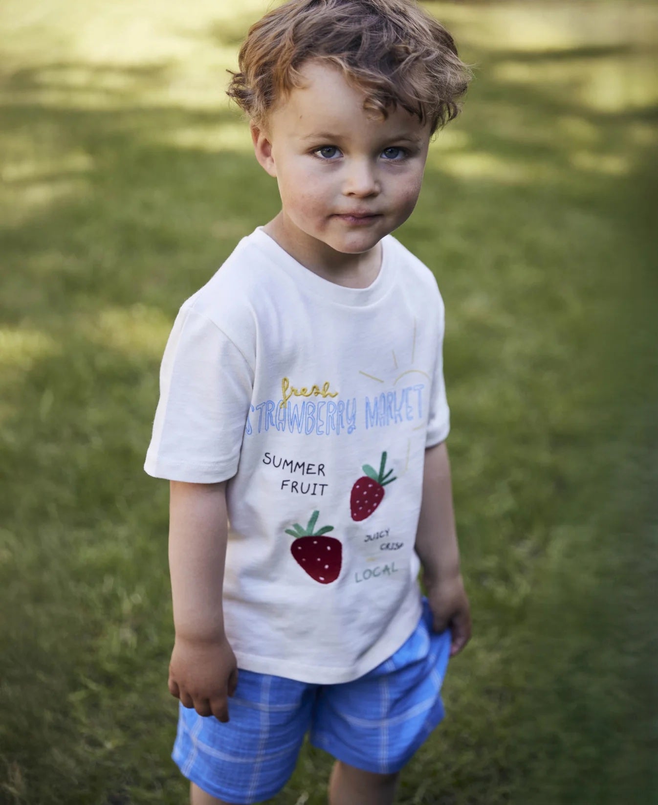 Sommer Strawberry T-Shirt Cloud Dancer