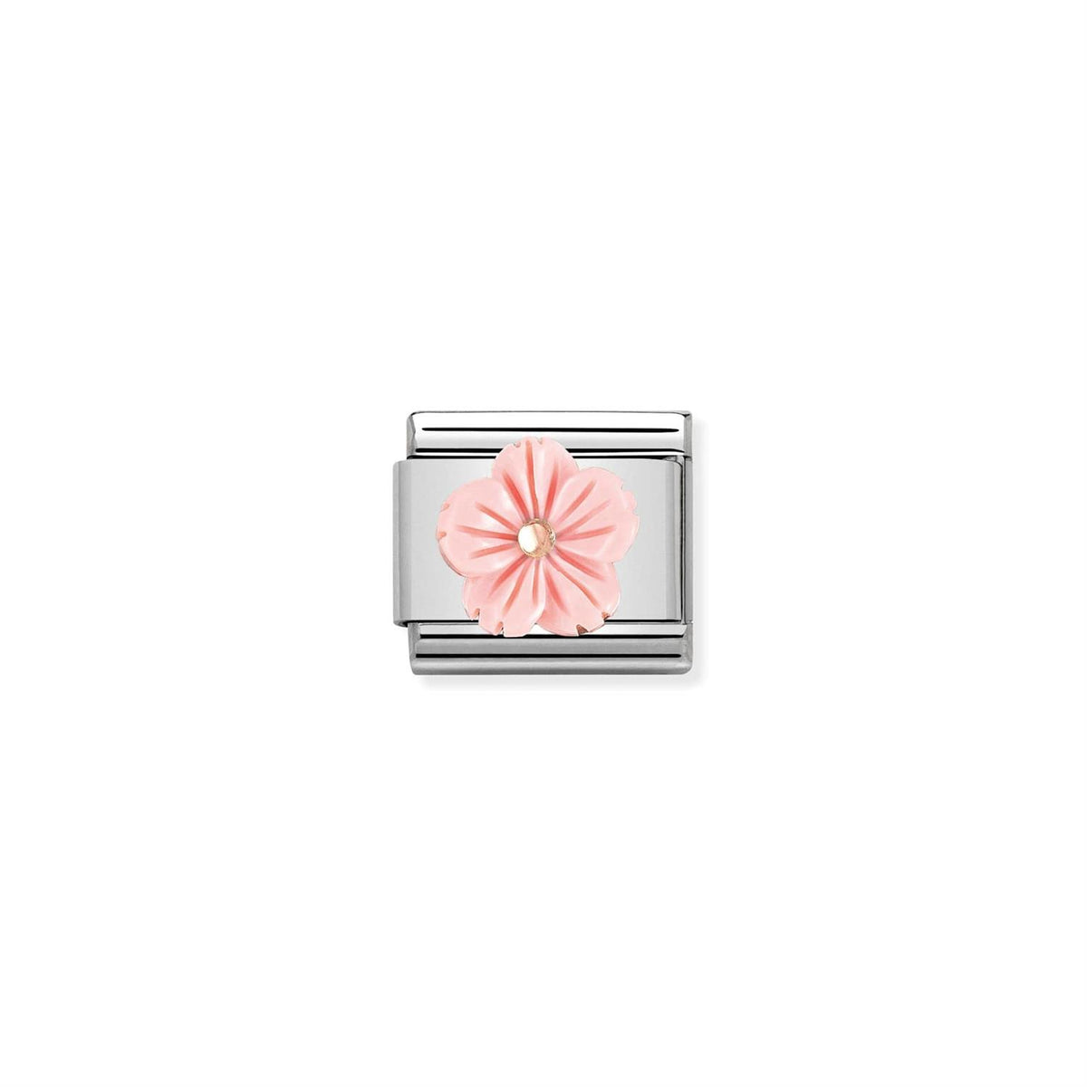 Flower Rose Coral Rosegold